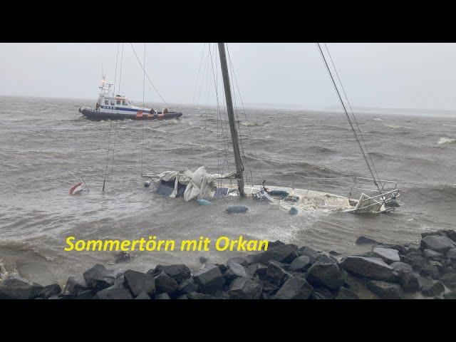 #3 Sommertörn 2023 Segeln im Ijsselmeer, Stavoren, Makkum, Vlieland, Texel und ein Orkan...