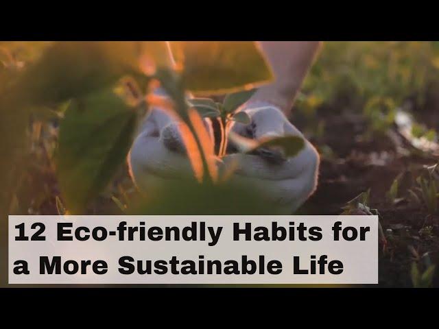 12 Eco friendly Habits for a More Sustainable Life