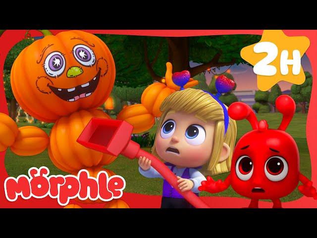 The Pumpkin Prince of Halloween| Cartoons for Kids | Mila and Morphle