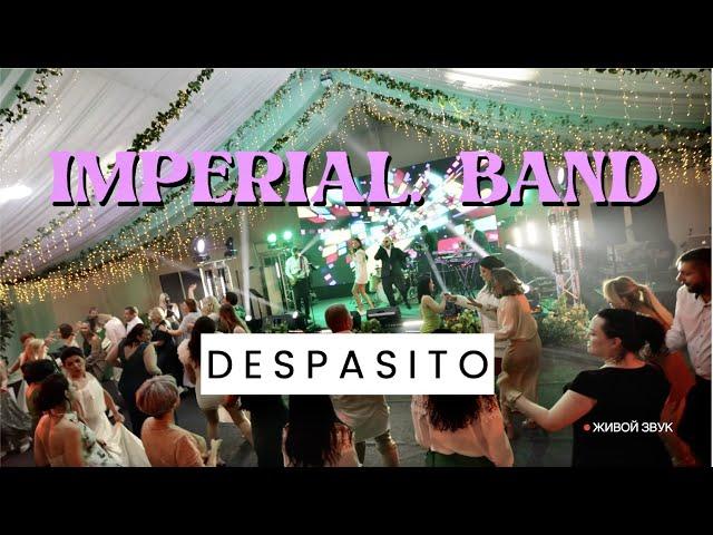 Кавер группа Imperial Band Москва| Despasito| Живой звук