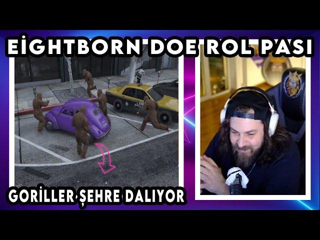 Elraenn | EİGHTBORN DOE ROL PASI - GORİLLER ŞEHRE DALIYOR!