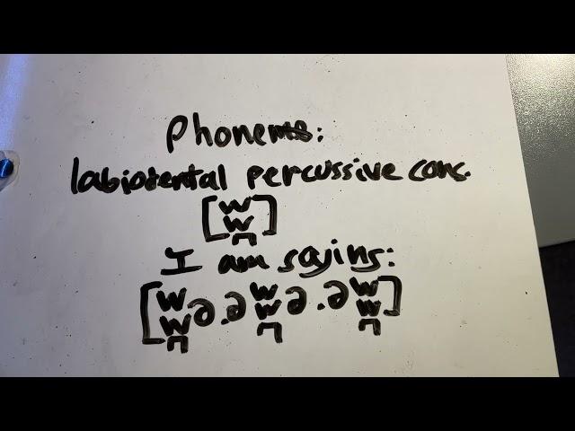 (Phone) [ʬ̪] labiodental percussive consonant