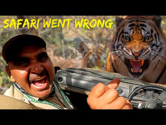 Jungle Safari Went Wrong Near TIGER | Ranthambore Guide Got Aggressive With Tourist