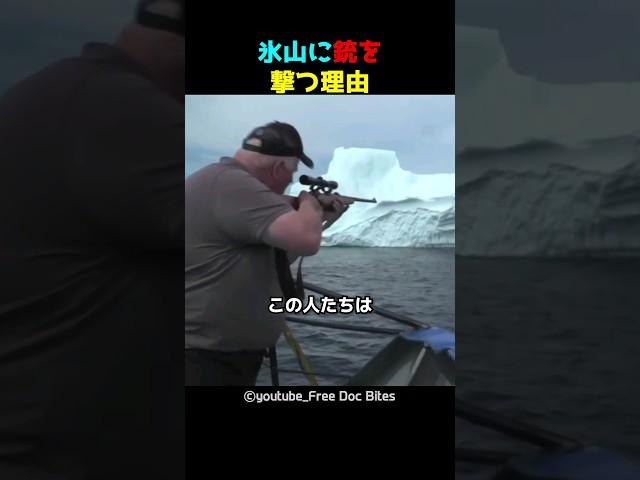 氷山に銃を撃つ理由