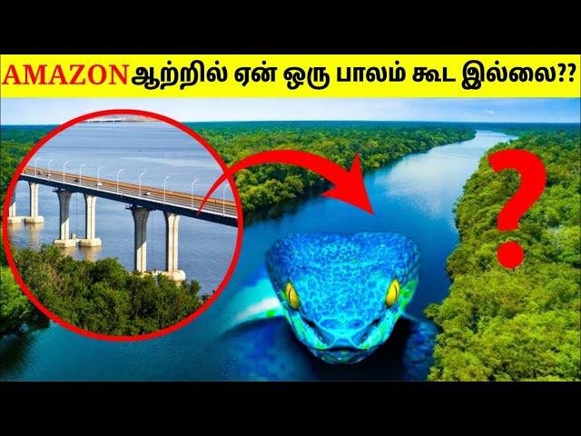 அமேசான் ஆற்றில் ஏன் பாலம் கட்ட முடியவில்லை? | Why Amazon River Has No Bridge? | Tamil Amazing Facts