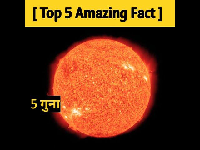 Top 5 Amazing Facts / Fact in Hindi / #shorts #amazingfactinhindi #factinhindi