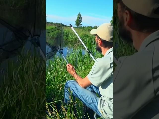 Рыбацкие будни. Мысли вслух. #carp #fishing #fish #природа #carpfishing #рыбалка #рыба