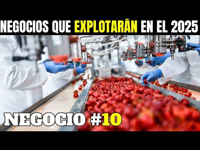 ¡13 IDEAS de NEGOCIO RENTABLES que EXPLOTARAN en el 2025! 