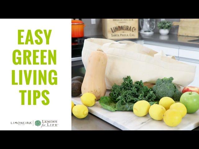 Easy Eco-Friendly & Green Living Tips | Home + Lifestyle With Limoneira