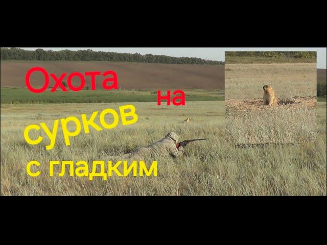 Охота на сурка. Двустволка.