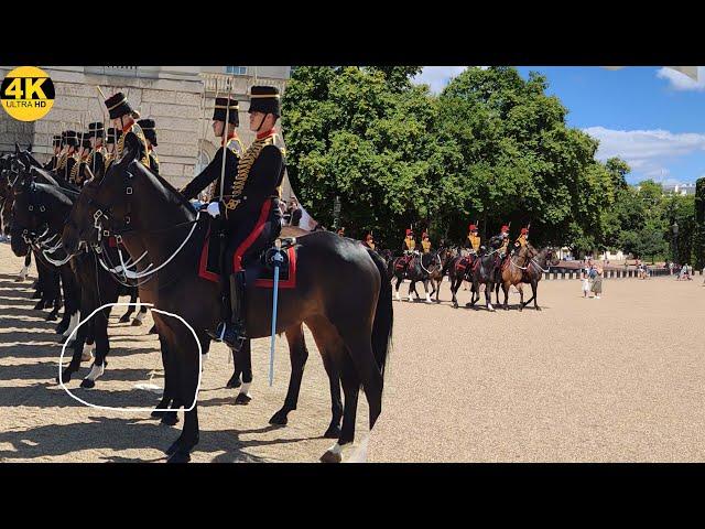 Kings Troops Horse Needed The Toilet After Arriving For Changing The Guard