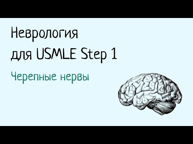 Неврология для USMLE Step 1 - Черепные нервы (часть 1)