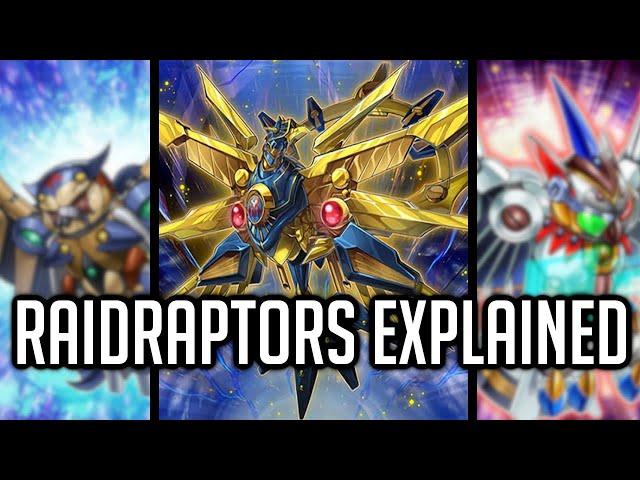 Raidraptors Explained In 34 Minutes [Yu-Gi-Oh! Archetype Analysis]