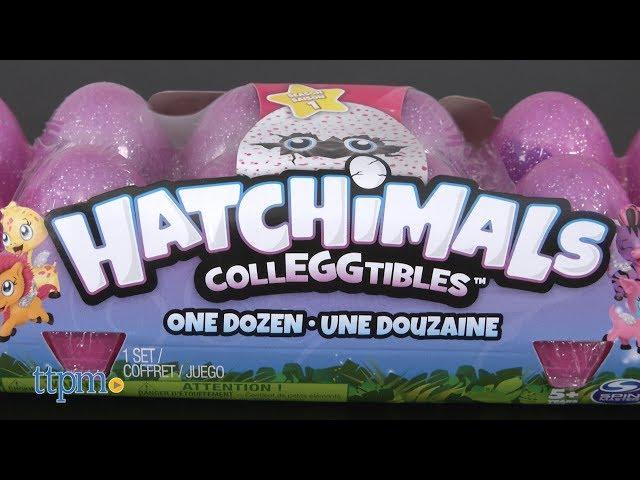 Hatchimals Colleggtibles Season One 12-Pack Egg Carton from Spin Master