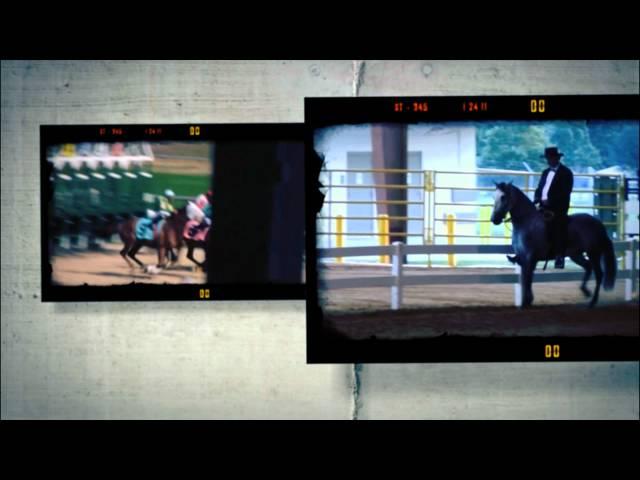 Total Horse Channel Promo