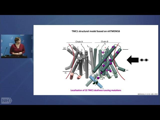 2024 Symposium of the NIH Distinguished Scholars Program, Part 1