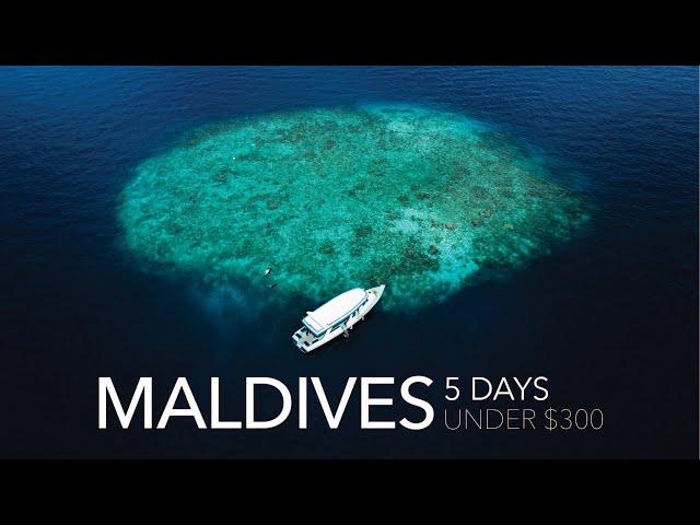 Maldives on a Budget || 5 Days in Paradise, Under $300