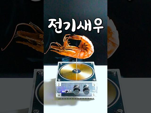 오로지 전기로 요리하는 이상한 음식