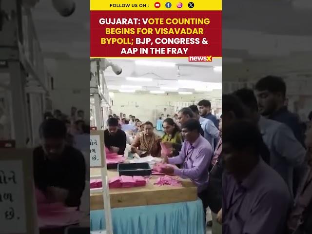 Gujarat: Vote Counting Begins for Visavadar Bypoll; BJP, Congress & AAP in the Fray