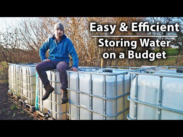 How to Create a Low-Cost Water Storage System for Your Vegetable Garden