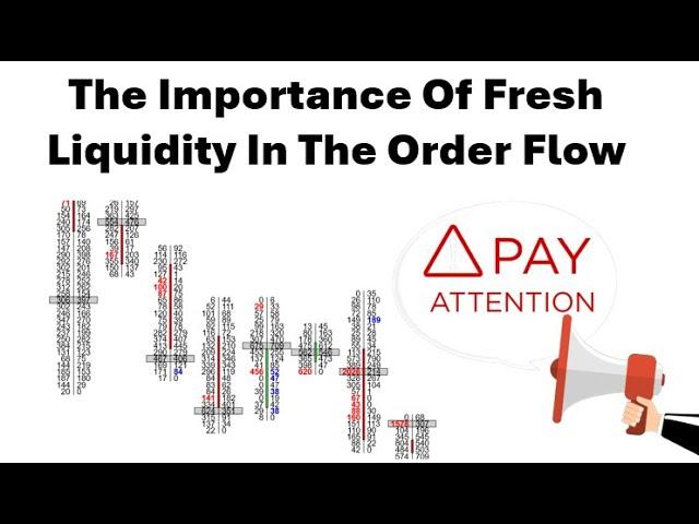 Fresh Liquidity In The Order Flow Holding And Failing Using Orderflows Trader 7 For NinjaTrader 8