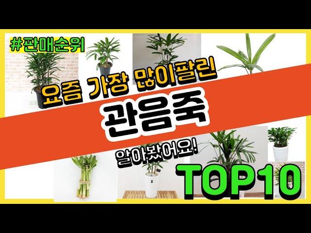 관음죽 추천 판매순위 Top10 || 가격 평점 후기 비교0 관음죽 동영상