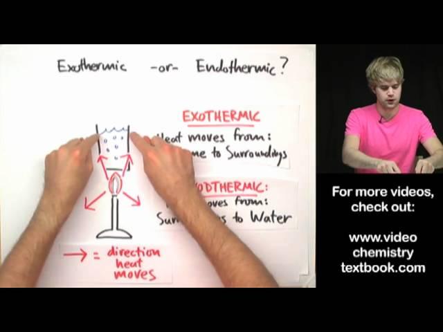 Tricky Question: Exothermic or Endothermic?