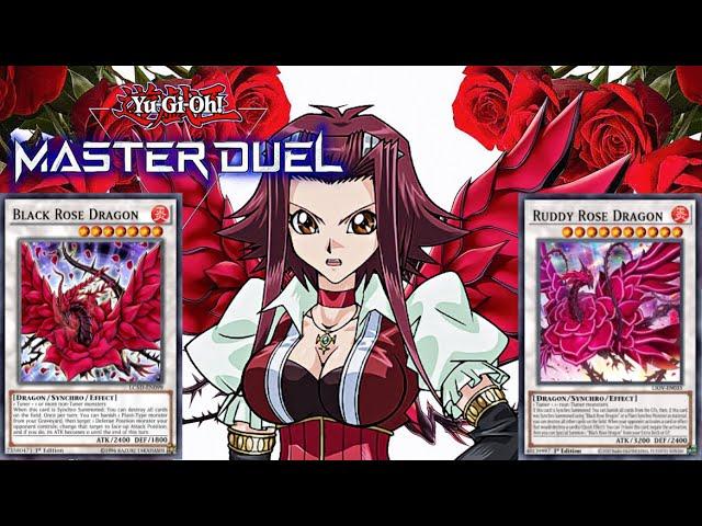 Road To Master With Rose Dragons [Yu-Gi-Oh Master Duel]