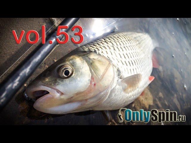 Охота на белого хищника  Ранняя весна  OnlySpin