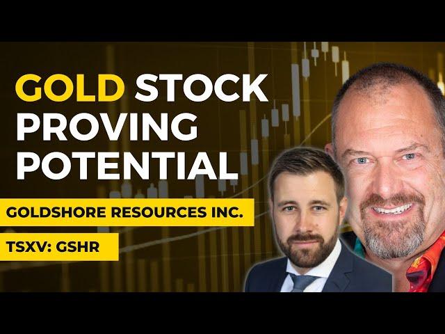 Is Now the Time to Buy This Gold Stock? | Goldshore Resources Inc.