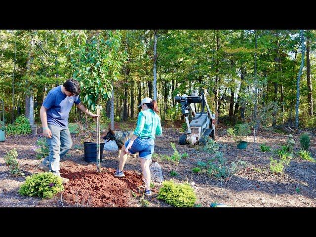 Fixing Helene's Damage & Adding New Shrubs to the Coop Garden