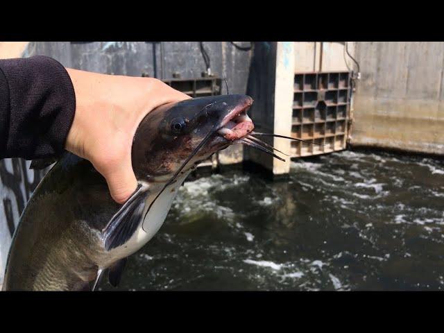 How To Catch More Fish at a Spillway!