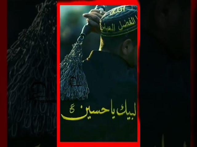 Aao Chalein Karbala | #islamic #noha #status #statuszonenohay   Noha video