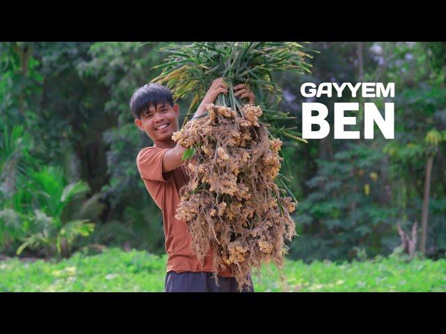 Harvesting ginger in the mountain | Cook arrozcaldo to celebrate my brother’s birthday | Gayyem Ben