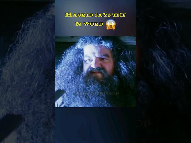 Hagrid Says the N Word  #harrypotter #parody #funny