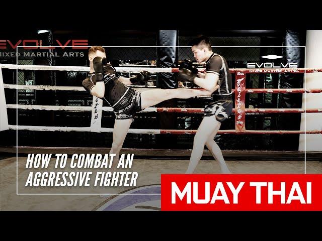 How To Combat An Aggressive Fighter In Muay Thai | Evolve MMA