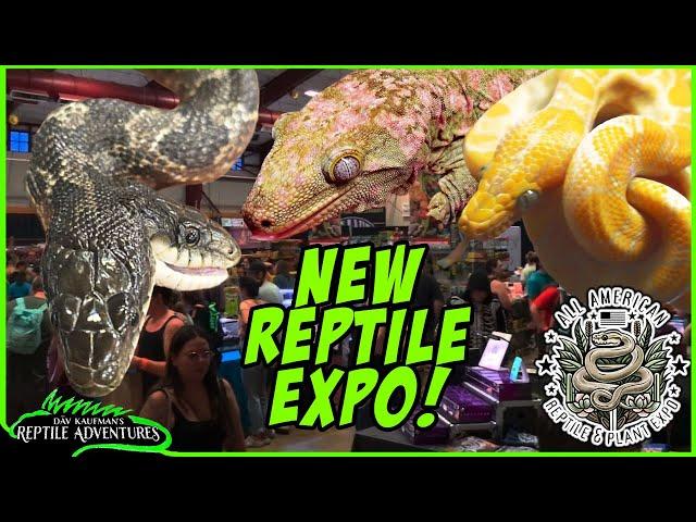 TOURING A NEW REPTILE EXPO! | All American Reptile and Plant Expo, Denver, Co.