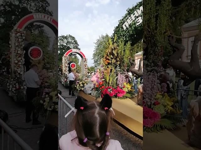 Комозиция"Ленинградский зоопарк️