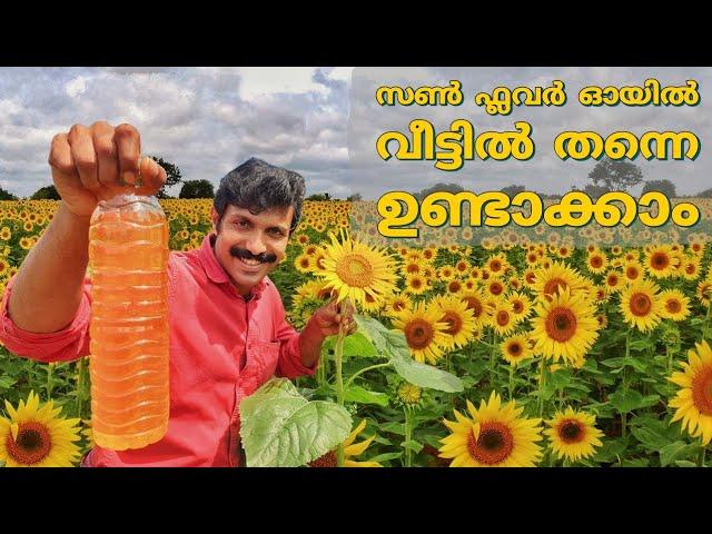 Sunflower oil preparation at home | How to make Sunflower oil at home