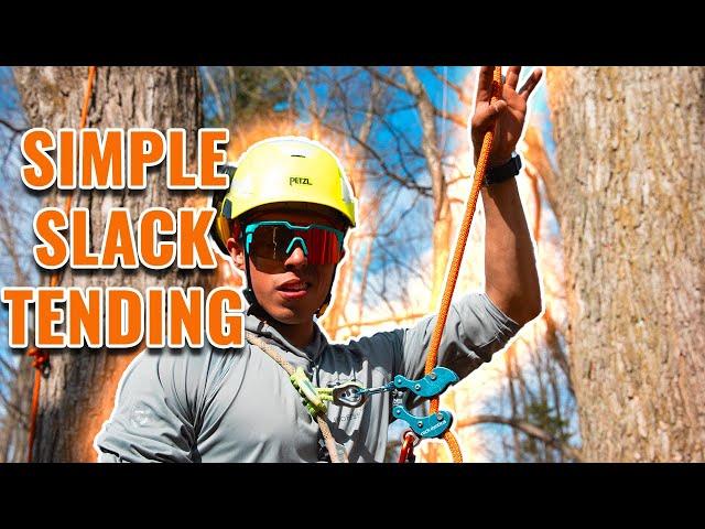 SRT/SRS Tree Climbing Basics: Slack Tending!