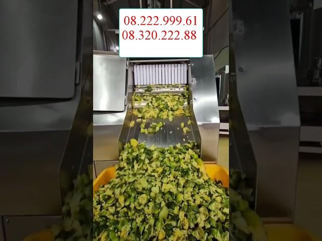 Máy ép chanh tắc 500kg/h - Máy ép chanh tắc tự động - Máy ép thủy lực - inoxsg.com