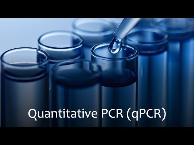 Quantitative Polymerase Chain Reaction (qPCR)