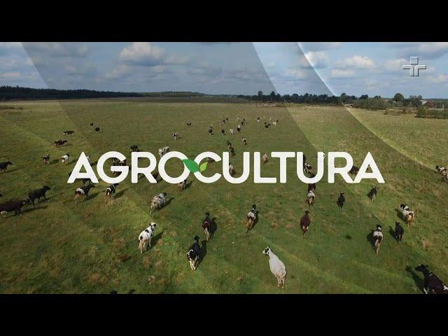 Agrocultura | 16/10/2022