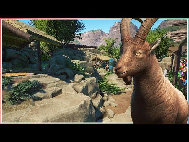 Alpine Ibex Habitat | Sequora Zoo | Planet Zoo Speed Build