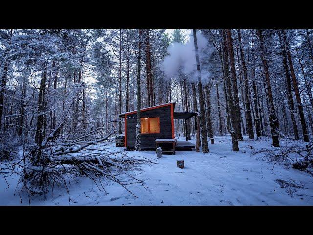 Tiny Cabin building in the woods, summer to winter, start to finish (short )