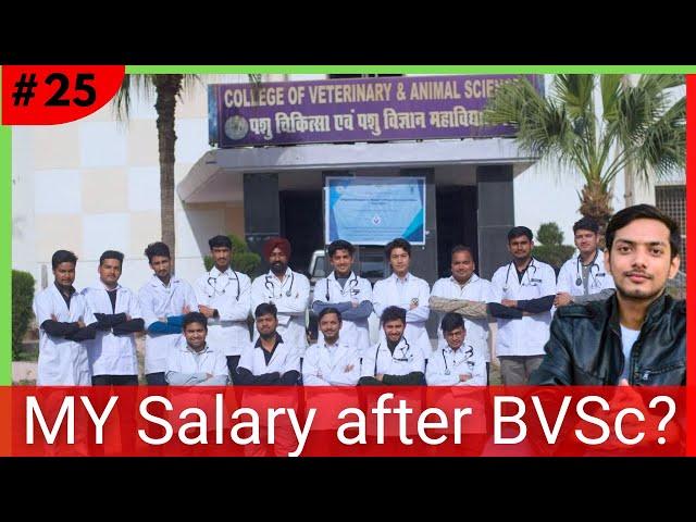 My First JOB and SALARY after Veterinary degree.  How much a newbie Dr. earn?