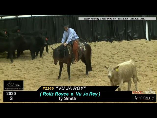 #2146 VU JA ROY 2020 Stallion Sired by Rollz Royce