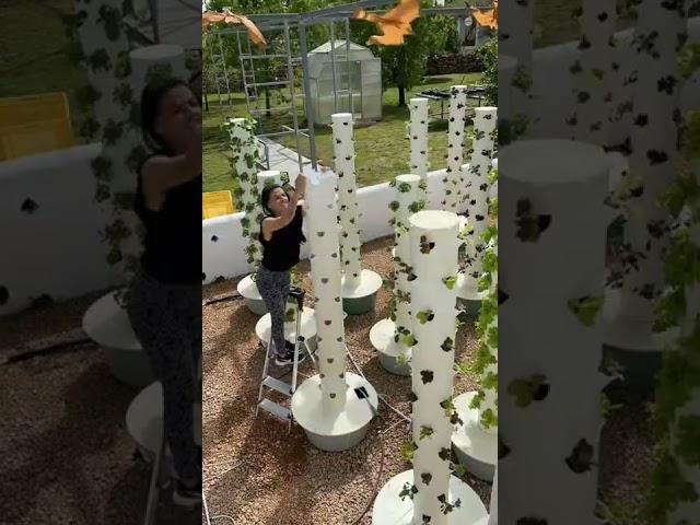 Aeroponic vertical farming with Tower Farms #TowerGarden #Aeroponics #VerticalFarming #TowerFarms