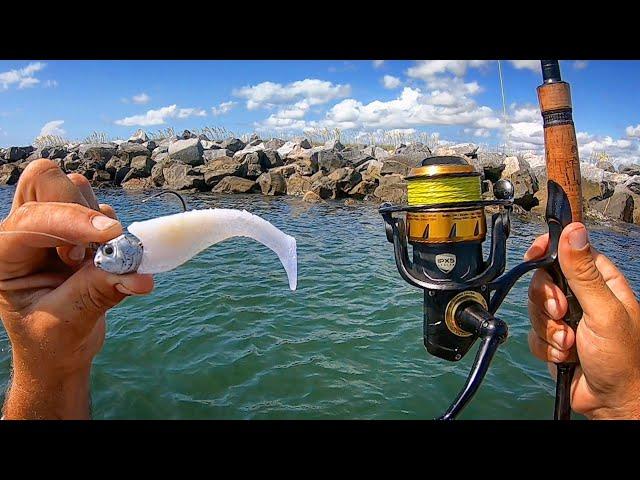 Jetty Fishing For Whatever Bites (Flounder Galore)