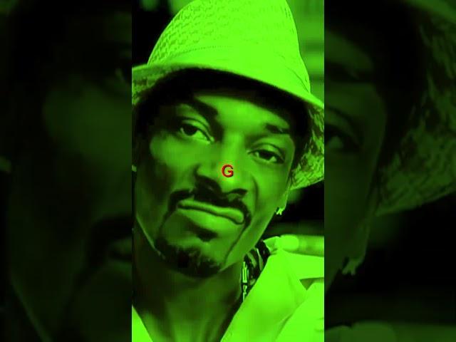 SNOOP DOGG THE NEXT EPISODE 